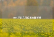 PUBG手游文件位置全面解析