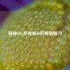 探秘LOL反差感ID的独特魅力