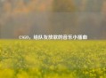 CSGO，给队友放歌的音乐小插曲