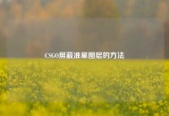 CSGO屏蔽准星图层的     