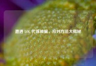 遭遇 LOL 代练被骗，应对     大揭秘