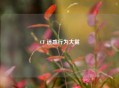 CF 迷惑行为大赏