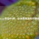 Steam未设PIN码，安全隐患及应对策略
