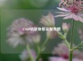 CSGO钥匙查看完整攻略