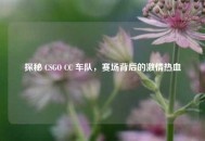 探秘 CSGO CC 车队，赛场背后的***热血