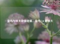 皇马与恒大     碰撞，皇马 7:0 胜恒大