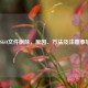 CSGO文件删除，原因、     及注意事项