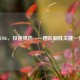 PUBG，投递弹药——团队制胜关键一步