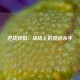 逆战轻狙，战场上的灵动杀手