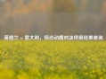 英格兰 vs 意大利，惊心动魄对决终局结果查询