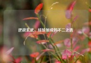 逆战玄武，经验加成的不二之选