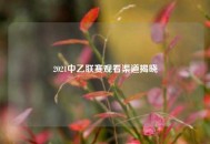 2021中乙联赛观看渠道揭晓