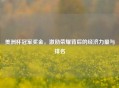 美洲杯冠军奖金，激励荣耀背后的经济力量与排名