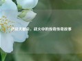 逆战大都会，战火中的传奇传奇故事