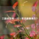 三国杀培养一只 S 将灵需要多久？