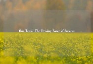 Our Team: The Driving Force of Success