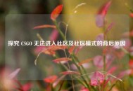 探究 CSGO 无法进入社区及社区模式的背后原因