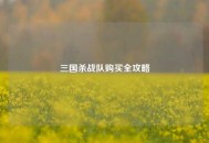 三国杀战队购买全攻略
