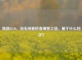 凯胜B110，羽毛球爱好者理想之选，属于什么档次？