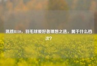 凯胜B110，羽毛球爱好者理想之选，属于什么档次？