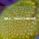 当遇上，开启跨次元奇妙碰撞