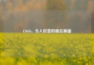 CSGO，令人欣喜的难忘画面