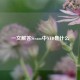 一文解答Steam中NTD是什么