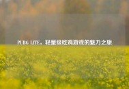 PUBG LITE，轻量级吃鸡游戏的魅力之旅