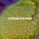 王者荣耀里的铭月传奇