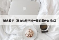 腿夹脖子（腿夹住脖子转一圈的是什么招式）