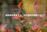 德国奥格斯堡大学，知识殿堂的璀璨之光