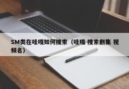 SM类在哇嘎如何搜索（哇嘎 搜索剧集 视频名）