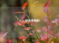 Steam取名成难题！