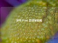 探寻 PUBG 总冠军归属