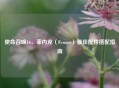 使命召唤16，菲内克（Fennec）更佳配件搭配指南