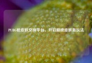 PUBG枪皮肤交换平台，开启游戏皮肤新玩法