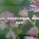 Bit与CSGO，电竞世界的     碰撞，职业赛场精彩留影