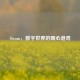 Steam，数字世界的暖心港湾