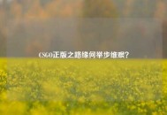 CSGO正版之路缘何举步维艰？