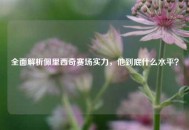 全面解析佩里西奇赛场实力，他到底什么水平？