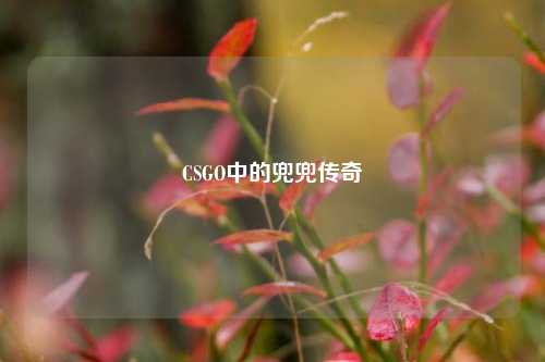 CSGO中的兜兜传奇