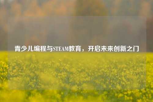 青少儿编程与STEAM教育,开启未来创新之门