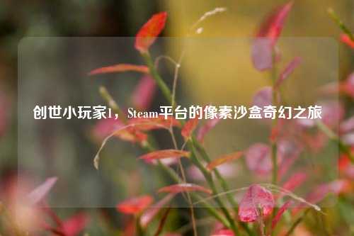 创世小玩家1,Steam平台的像素沙盒奇幻之旅