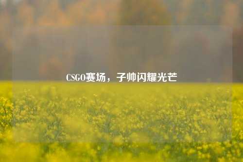 CSGO赛场,子帅闪耀光芒
