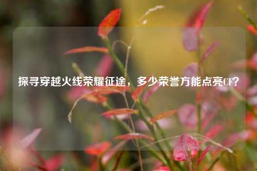 探寻穿越火线荣耀征途,多少荣誉方能点亮CF?