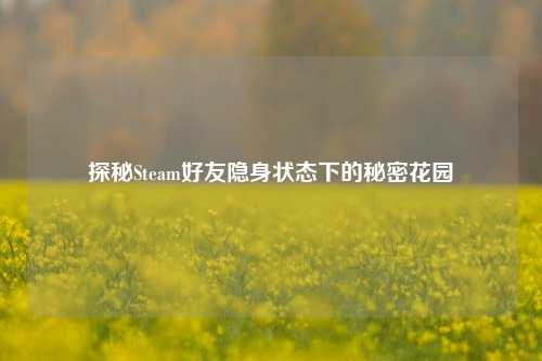 探秘Steam好友隐身状态下的秘密花园