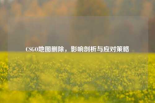CSGO地图删除,影响剖析与应对策略