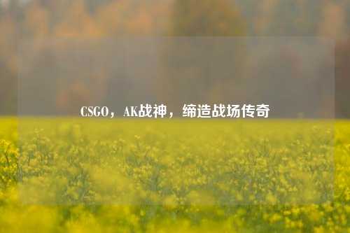 CSGO,AK战神,缔造战场传奇