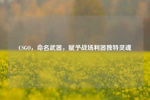 CSGO,命名武器,赋予战场利器独特灵魂