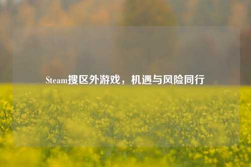 Steam搜区外游戏,机遇与风险同行
